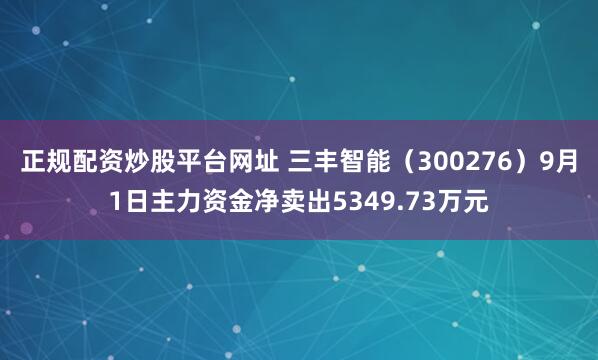 正规配资炒股平台网址 三丰智能（300276）9月1日主力资金净卖出5349.73万元