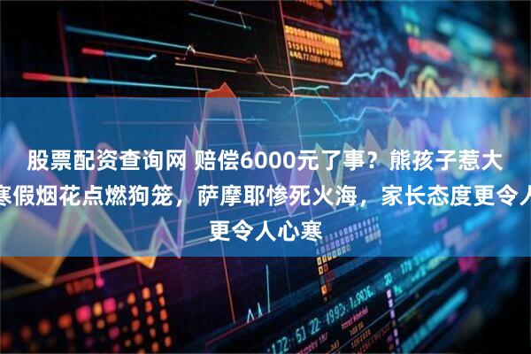 股票配资查询网 赔偿6000元了事？熊孩子惹大祸，寒假烟花点燃狗笼，萨摩耶惨死火海，家长态度更令人心寒
